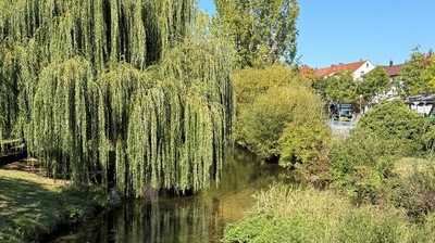 Bekommt Reutlingen den Zuschlag für 2039?