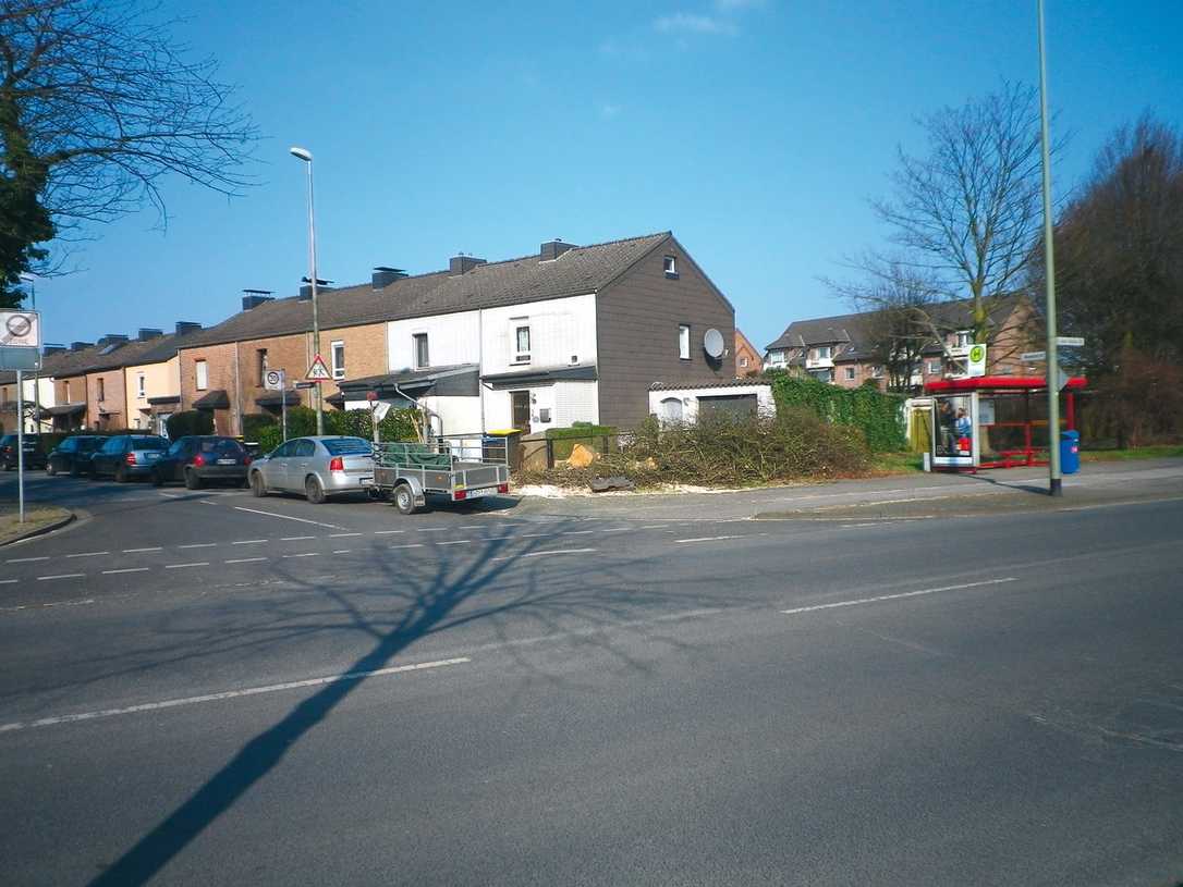 Stadtbäume im Spannungsfeld zwischen Naturschutz und Verkehrssicherheit Stadtbäume im Spannungsfeld zwischen Naturschutz und Verkehrssicherheit