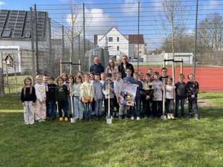 Darum Feldahorne für das Schulgelände