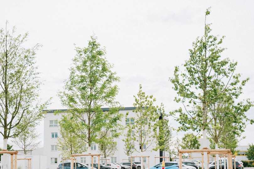 Unterschiedliche Wuchsformen und Blattwerk sorgen für ein abwechslungsreiches Bild. | Foto: Coreum Unterschiedliche Wuchsformen und Blattwerk sorgen für ein abwechslungsreiches Bild. | Foto: Coreum