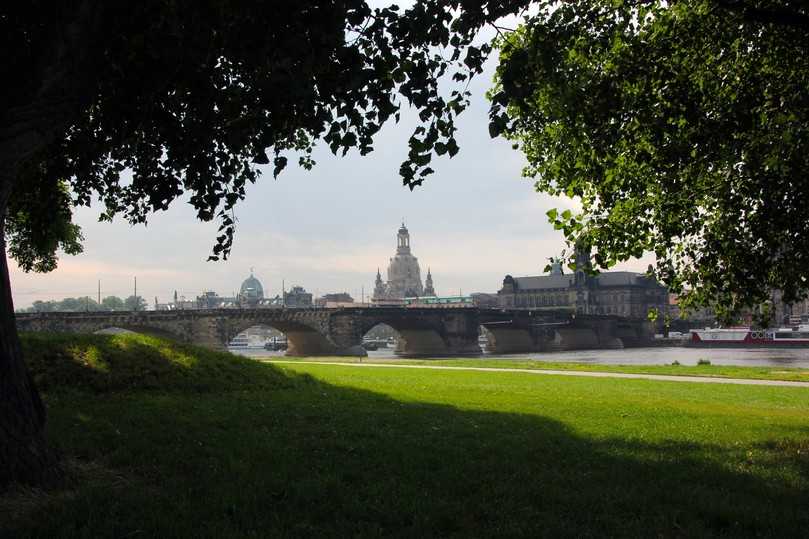 Urbane Freiflächen und Elb-Uferwiesen wie hier in Dresden spielen eine Schlüsselrolle beim Klimaschutz. Für sich verdichtende Großstädte fordert der VGL Sachsen die zügige Umsetzung von Schwammstadt-Konzepten, um urbanes Grün als natürlichen Wasserspeicher nutzbar zu machen. | Foto: Pixabay/Pauline_17