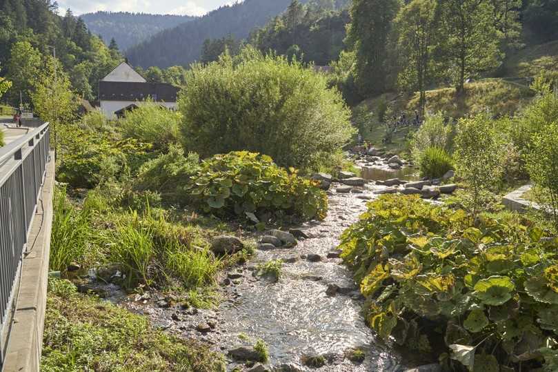 Das Projekt „Freizeitgelände Berneckstrand“ im baden-württembergischen Schramberg erhielt beim Bundespreis 2020 eine Auszeichnung: Nach Ansicht der Jury zeigt es mustergültig, wie Umweltschutz, Hochwasserschutz, Freizeitnutzung und Umweltbildung auf einer Fläche ermöglicht werden können – und durch Einbindung engagierter Nutzer und neue Angebote den Verlust eines Freibades für eine Gemeinde erträglich machen. | Foto: Bundespreis Stadtgrün/Hergen Schimpf Das Projekt „Freizeitgelände Berneckstrand“ im baden-württembergischen Schramberg erhielt beim Bundespreis 2020 eine Auszeichnung: Nach Ansicht der Jury zeigt es mustergültig, wie Umweltschutz, Hochwasserschutz, Freizeitnutzung und Umweltbildung auf einer Fläche ermöglicht werden können – und durch Einbindung engagierter Nutzer und neue Angebote den Verlust eines Freibades für eine Gemeinde erträglich machen. | Foto: Bundespreis Stadtgrün/Hergen Schimpf