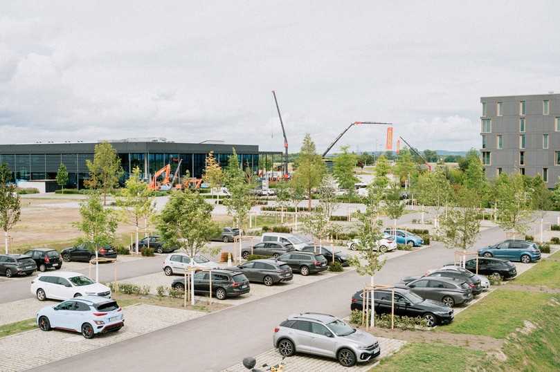 Blick auf den Klimabaumhain mit rund 40 unterschiedlichen klimaresistenten Baumarten. | Foto: Coreum