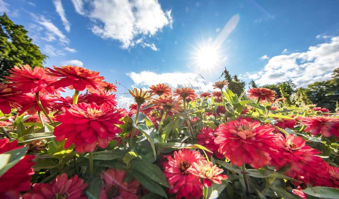 Gartenschauen im B_I galabau-Newsticker🌳Praxisnahe Mathestunde in Furth im Wald Gartenschauen im B_I galabau-Newsticker🌳Praxisnahe Mathestunde in Furth im Wald