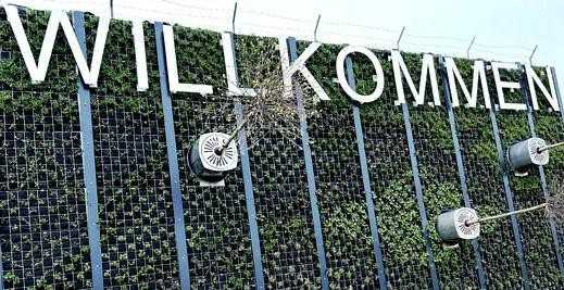 Auf der Buga 2023 wächst ein vertikaler Garten aus der Wand