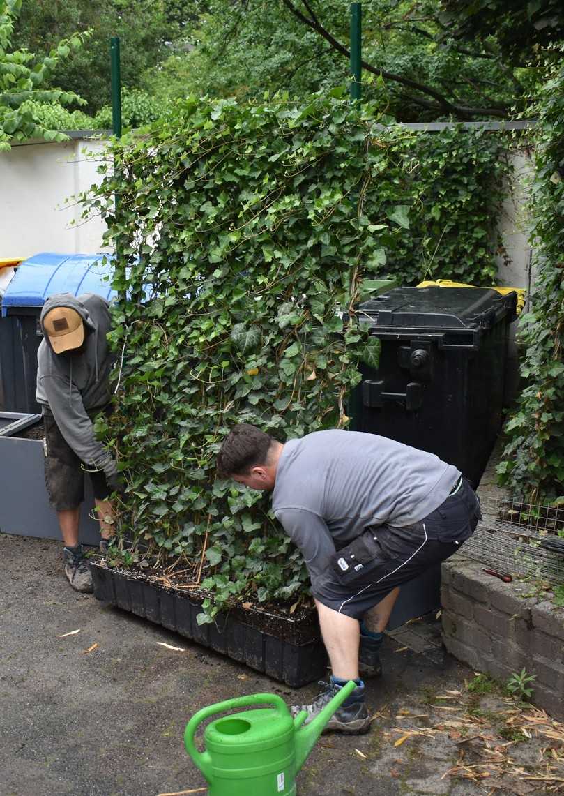 Die einzelnen Hecken-Elemente haben eine Länge von 120 Zentimetern. Wie bei einem Zaun lassen sich die Einzelteile beliebig verlängern und können auf Wunsch sogar das gesamte Grundstück einfrieden. | Foto: Helix Die einzelnen Hecken-Elemente haben eine Länge von 120 Zentimetern. Wie bei einem Zaun lassen sich die Einzelteile beliebig verlängern und können auf Wunsch sogar das gesamte Grundstück einfrieden. | Foto: Helix