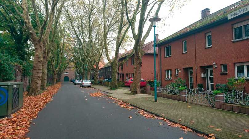 Abb. 3: Allee in einer ehemaligen Zechensiedlung im Duisburger Stadtteil Wehofen. | Foto: Stadt Duisburg Abb. 3: Allee in einer ehemaligen Zechensiedlung im Duisburger Stadtteil Wehofen. | Foto: Stadt Duisburg
