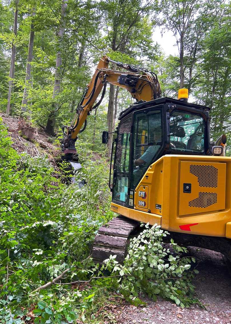 Schneiden, sägen, Schnittgut anhäufen, alles in einem Arbeitsgang und mit einem Gerät – Cut Wheel | Foto: Holp