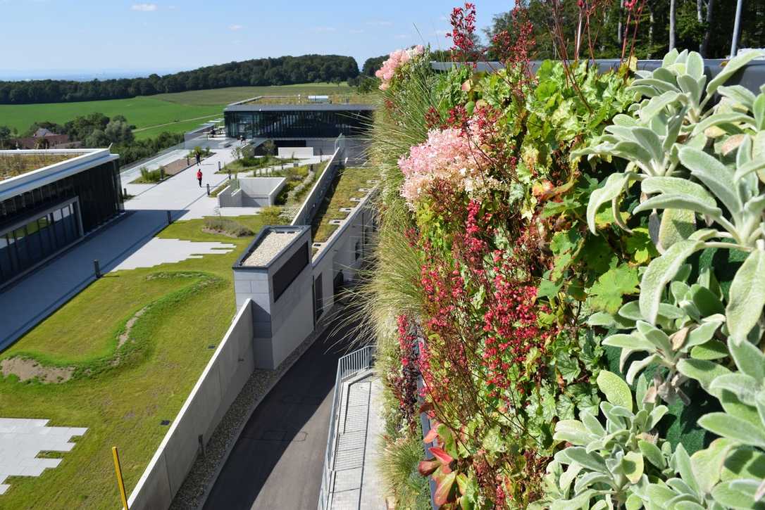 BuGG auf GaLaBau 2024: Gebäude begrünen BuGG auf GaLaBau 2024: Gebäude begrünen