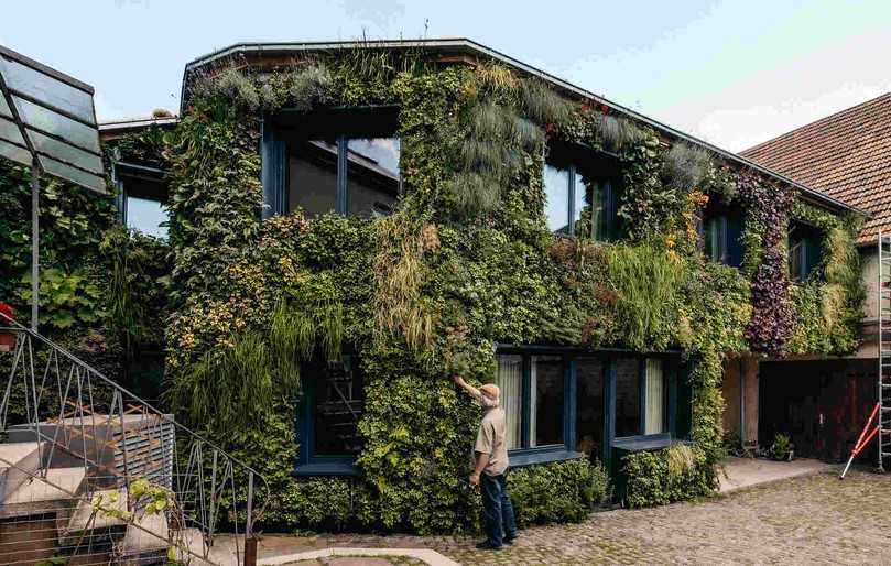 Platz 1 in der Kategorie „BuGG-Fassadenbegrünung des Jahres 2025“: Einfamilienhaus in Karlsruhe. | Foto: Helix Pflanzensysteme/Raissa Axmann Fotografie Platz 1 in der Kategorie „BuGG-Fassadenbegrünung des Jahres 2025“: Einfamilienhaus in Karlsruhe. | Foto: Helix Pflanzensysteme/Raissa Axmann Fotografie