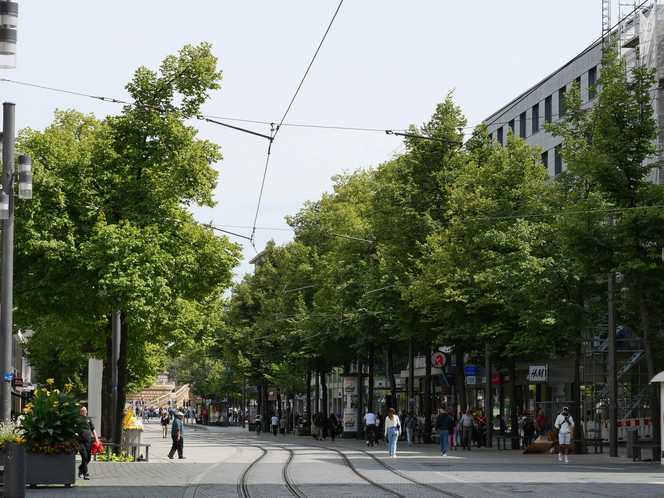 BdB warnt vor Ablehnung der grünen Transformation