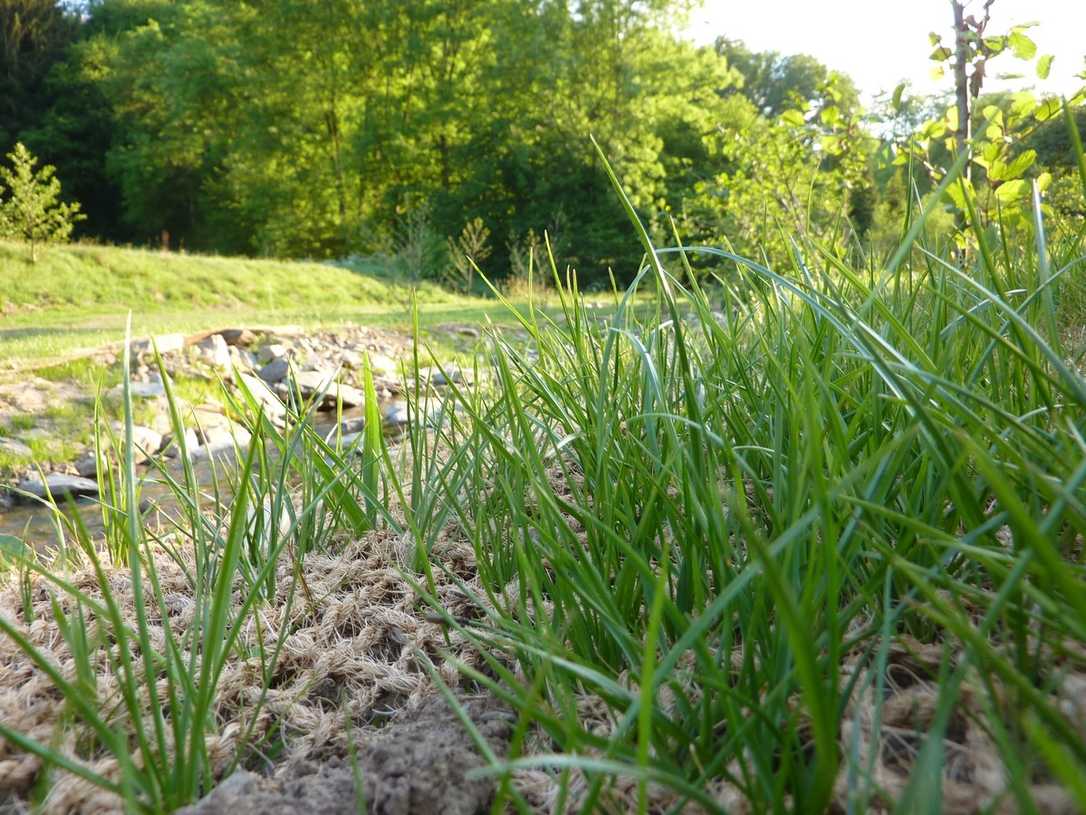 Was sind Erosionsschutzmatten? Was sind Erosionsschutzmatten?