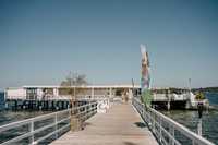 50 Jahre grün gedacht