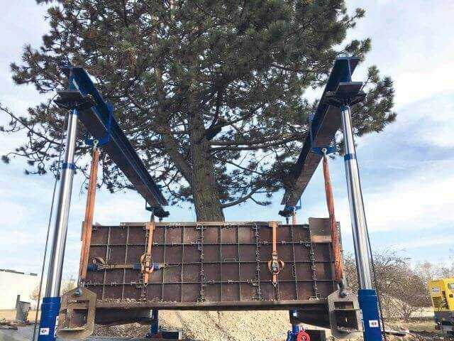 Ein zweites Leben für Großbäume dank moderner Technik