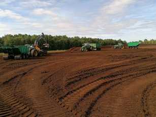 Nachhaltige klimaneutrale Substrate – das Beispiel Niederlande