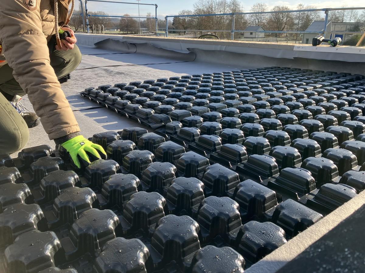 Retentions-Gründach Sponge City Roof. Oberhalb Dämmung und Dichtung acht Zentimeter hohe Spacer-Elemente mit Hohlräumen für flächigen Wasserspeicher mit einem Volumen von 19,2 m³ und einer maximalen Last von 80 kg/m². Dies liegt noch deutlich unter der für den Winter zu berücksichtigenden Schneelast vor Ort. | Foto: Mall Retentions-Gründach Sponge City Roof. Oberhalb Dämmung und Dichtung acht Zentimeter hohe Spacer-Elemente mit Hohlräumen für flächigen Wasserspeicher mit einem Volumen von 19,2 m³ und einer maximalen Last von 80 kg/m². Dies liegt noch deutlich unter der für den Winter zu berücksichtigenden Schneelast vor Ort. | Foto: Mall