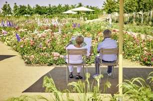 „Ich liebe es, was ihr Gartenjunkies macht“