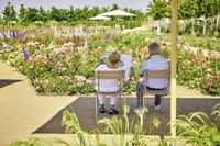 „Ich liebe es, was ihr Gartenjunkies macht“