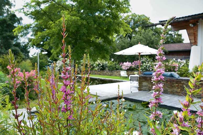 101 Traumgärten: Eine inspirierende Reise in die Welt der individuellen Gartenparadiese