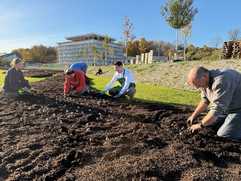 Torffreies Substrat für ein buntes Blumenmeer in Ellwangen