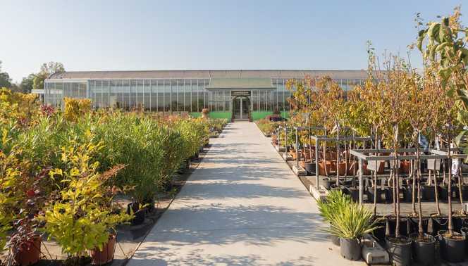 Grünes Licht für höhere Löhne in Baumschulen