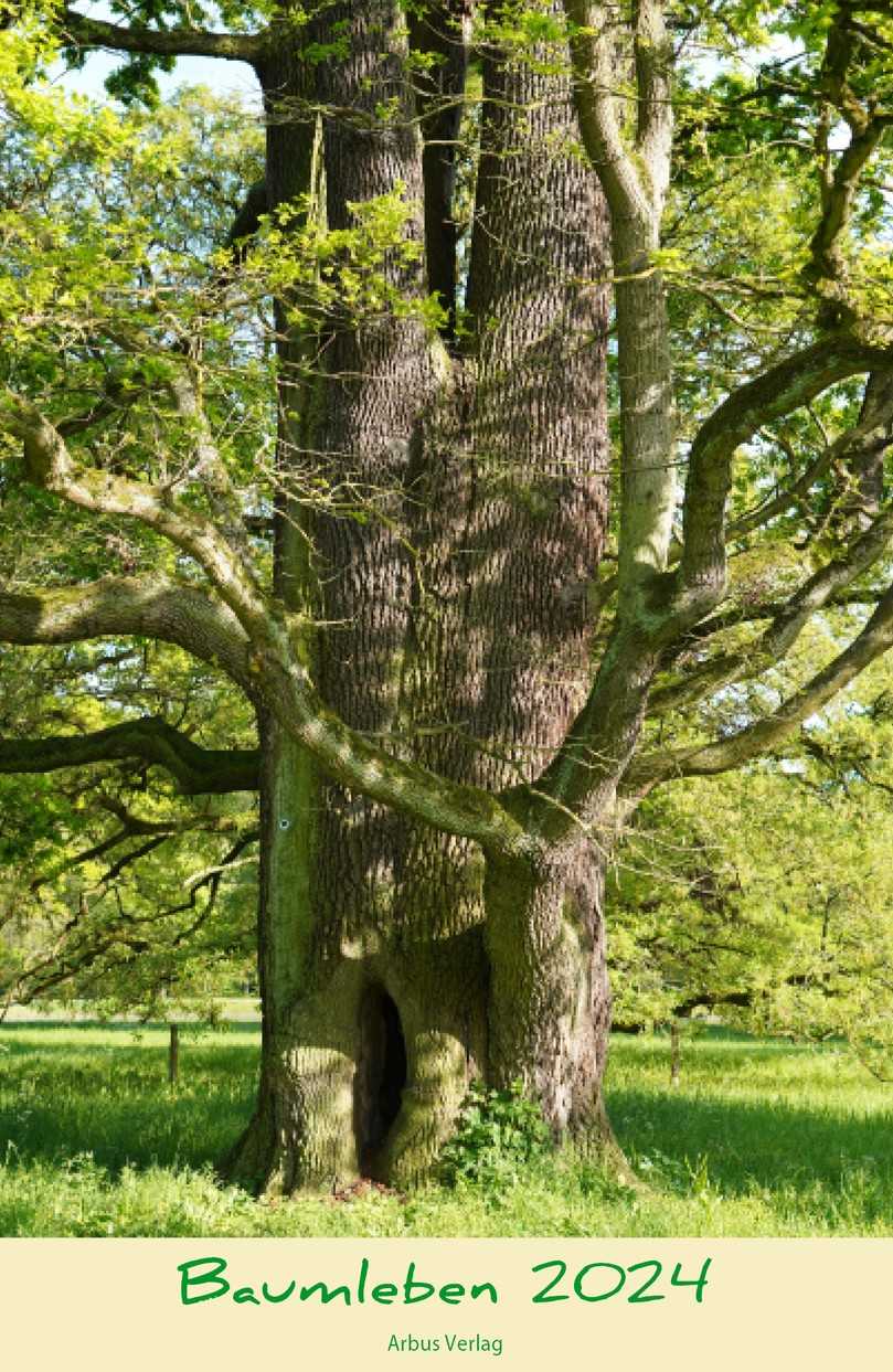„Baumleben 2024“, Arbus-Verlag 2023, Format 22 x 34 cm, Fotos und Text: Peter Klug, ISBN-13: 978-3-934947-57-3, Preis: 12,- Euro | Foto: Arbus-Verlag „Baumleben 2024“, Arbus-Verlag 2023, Format 22 x 34 cm, Fotos und Text: Peter Klug, ISBN-13: 978-3-934947-57-3, Preis: 12,- Euro | Foto: Arbus-Verlag