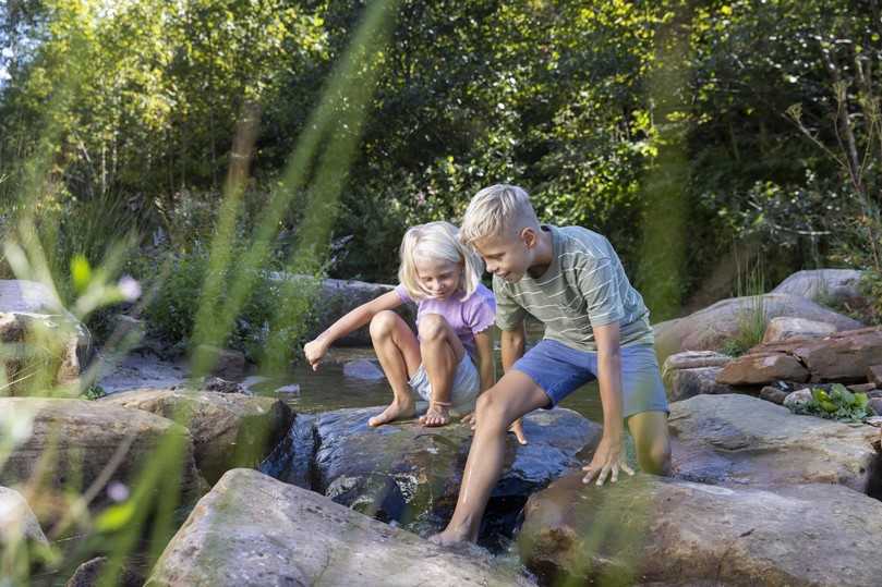 Das Element Wasser hautnah auf der Gartenschau erleben. | Foto: Ulrike Klumpp Das Element Wasser hautnah auf der Gartenschau erleben. | Foto: Ulrike Klumpp
