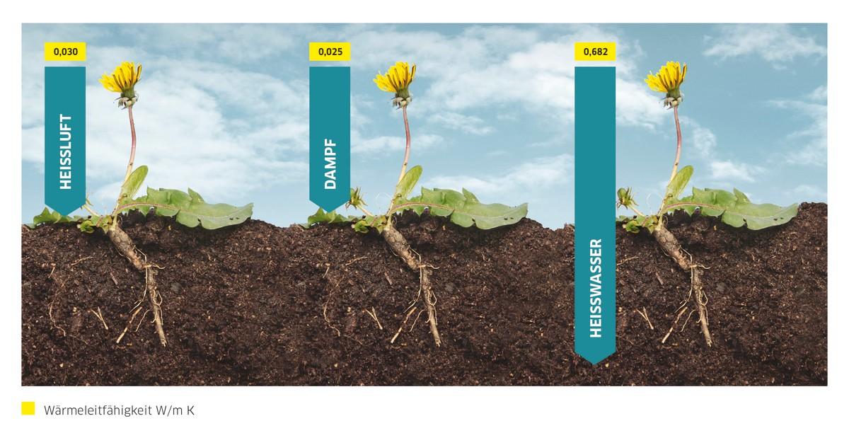 Hitze ist nicht gleich Hitze: Während Heißluft und heißer Wasserdampf der Pflanze oberflächlich zusetzen, geht heißes Wasser bis an die Wurzel und wirkt dort nachhaltig. | Foto: Kärcher