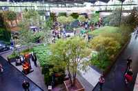 So gelangen Aussteller auf den Grün-Blauen Pfad