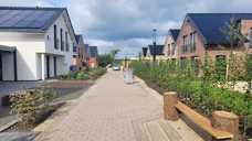Wie sich ein Schwammstadt-Projekt im Dauerregen schlägt
