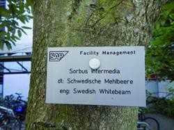 Mit der dreisprachigen Beschilderung der Pflanzen auf dem Firmengelände ist das Image der Flächenmanager gestiegen. | Foto: Jörg Beissel