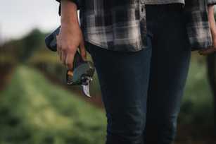 Weihnachtsgeschenk: Die besten Akku-Astscheren 2025 für Profis und Heimwerker