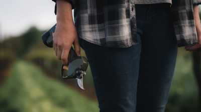 Die besten Akku-Astscheren 2025 für Profis und Heimwerker