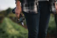 Die besten Akku-Astscheren 2025 für Profis und Heimwerker