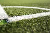Trockenheit und Dauerstress: Hightech-Rasen für Sportplätze in Zukunft