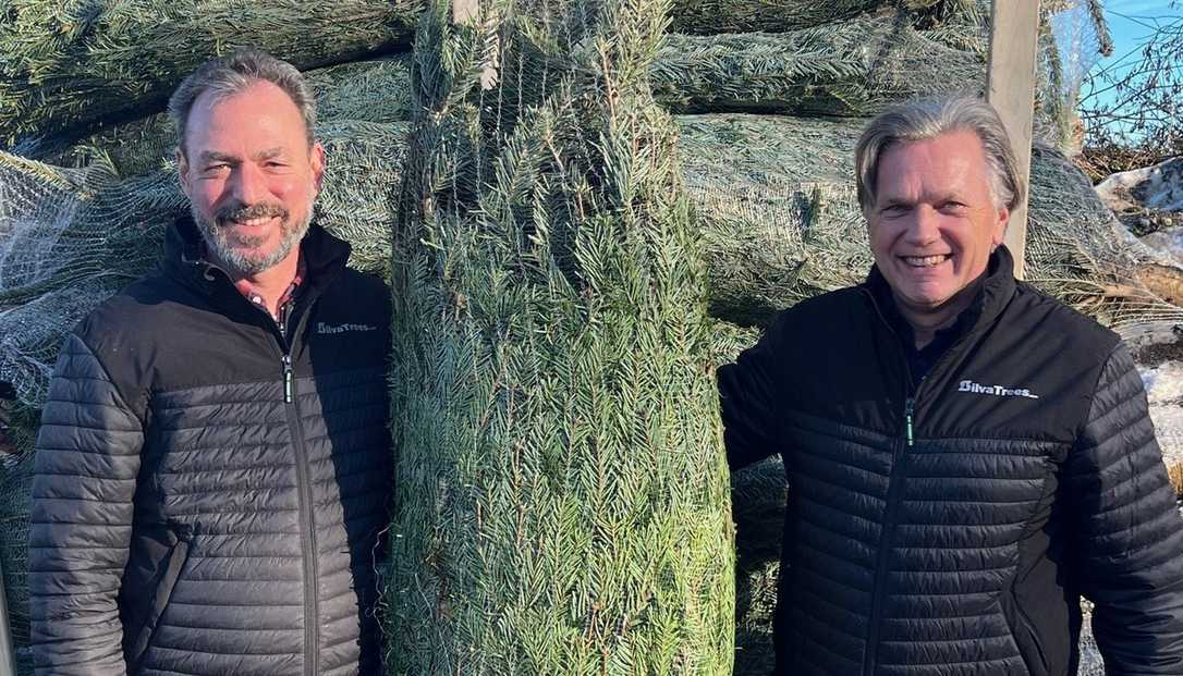 Weihnachtsbäume: 75 Jahre SilvaTrees