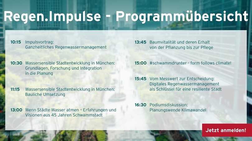 Programm | Foto: Hauraton