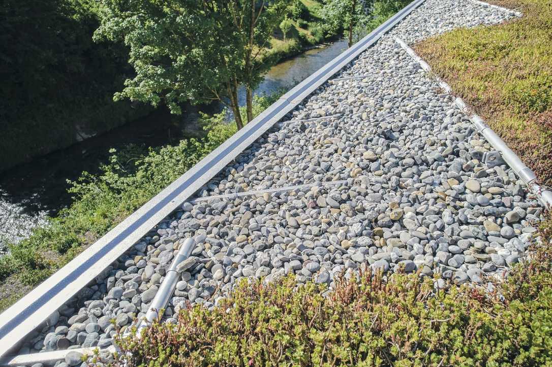 Zambelli RIB-ROOF Komplettsystem mit Begrünung Zambelli RIB-ROOF Komplettsystem mit Begrünung