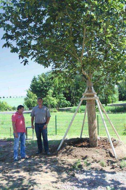 Bernd Weißenborn (links) und Tom Braam freuen sich über die gelungene Baumaktion. Bernd Weißenborn (links) und Tom Braam freuen sich über die gelungene Baumaktion.