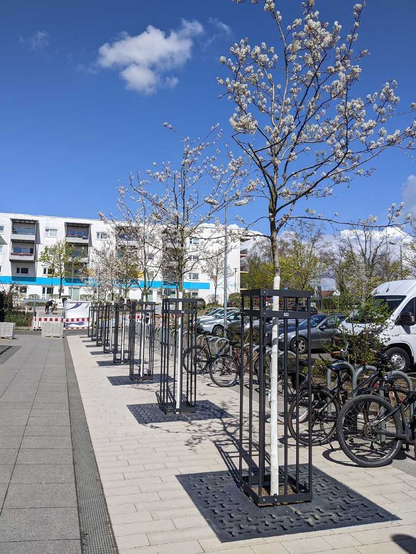 Vorher: So sah der Dr.-Martin-Luther-King-Weg in Mainz im Jahr 2022 aus. | Foto: Gefa Fabritz