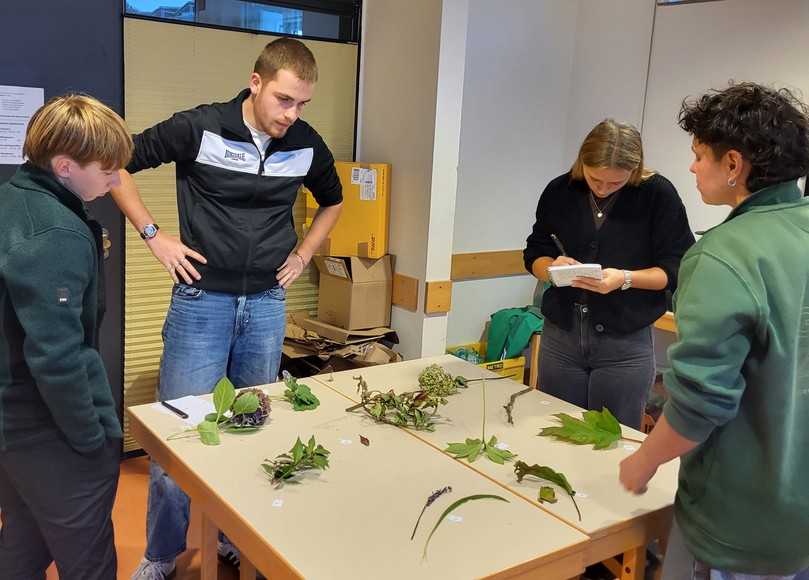 Im Workshop war auch Pflanzen-Fachwissen gefragt. | Foto: VGL Niedersachsen-Bremen