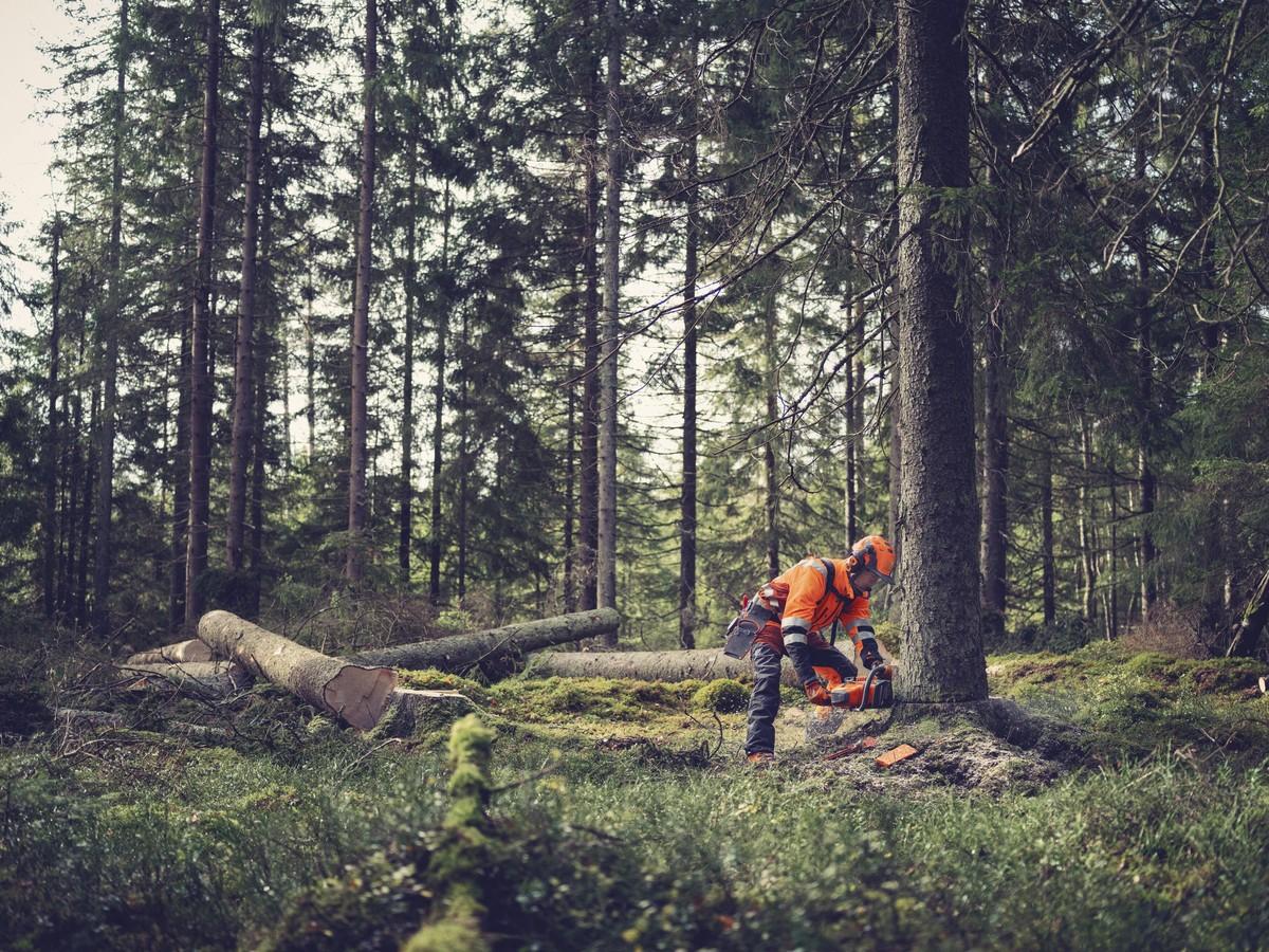 Husqvarna hat die Kettensäge 564 X „um den Motor herum entwickelt“, was zu einem schlankeren Design führt. Zusätzlich wurde der Kolben aus Magnesium gefertigt, was weiteres Gewicht einspart. | Foto: Husqvarna Husqvarna hat die Kettensäge 564 X „um den Motor herum entwickelt“, was zu einem schlankeren Design führt. Zusätzlich wurde der Kolben aus Magnesium gefertigt, was weiteres Gewicht einspart. | Foto: Husqvarna