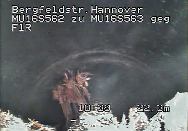 Der Roboter bei der Arbeit | Foto: Mauerspecht