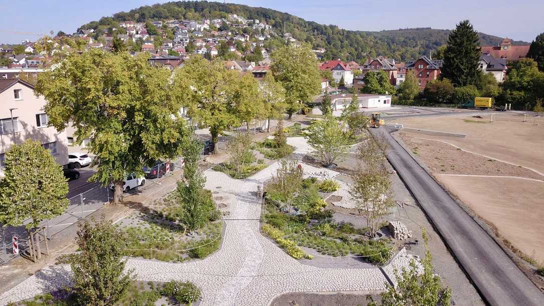 LGS Oberhessen 2027: August Fichter baut klimaresistenten Park in Büdingen