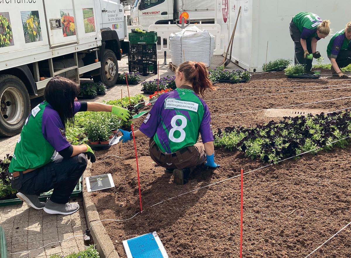Fußball und Insektenschutz werden verknüpft und so wird das Thema Friedhofsgärtnerei lebendig. | Foto: PATZER ERDEN GmbH