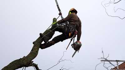 Sichere Seilklettertechnik im Fokus