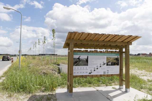 Wurzeleinwuchs: Bäume erhalten, Leitungen schützen