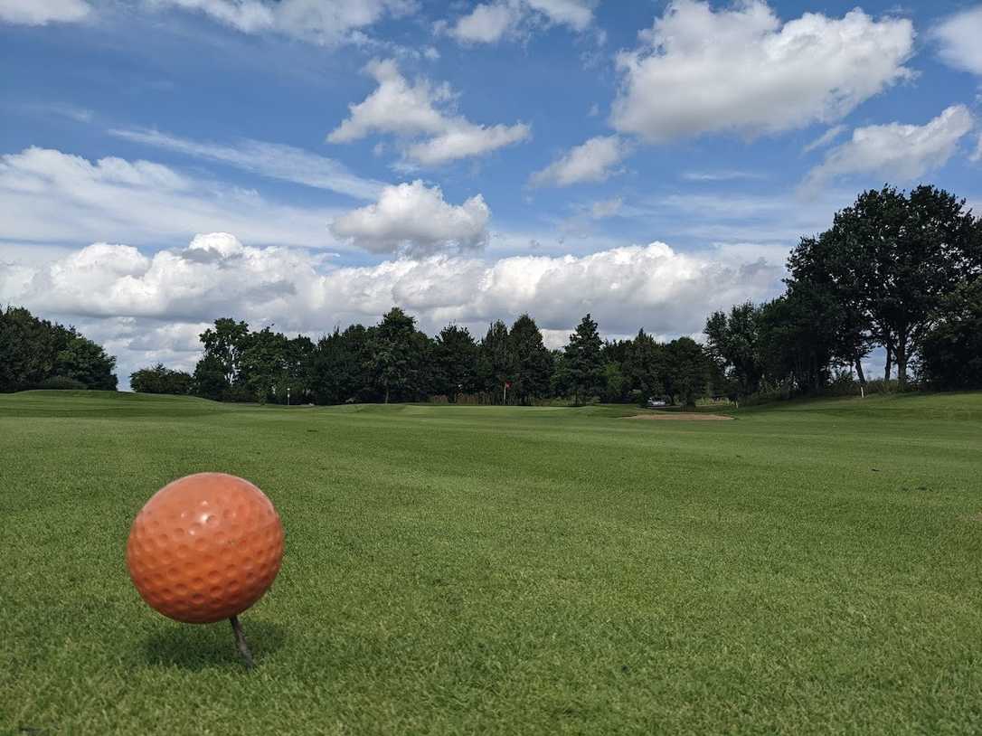 Bäume auf Golfplätzen - wie wird eine Gefahren reduzierte Nutzung möglich? Bäume auf Golfplätzen - wie wird eine Gefahren reduzierte Nutzung möglich?