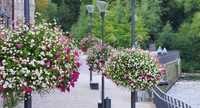 Mobile Pflanzsysteme von Flower and Shower ab sofort zum Kauf