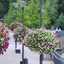 Mobile Pflanzsysteme von Flower and Shower ab sofort zum Kauf